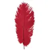 Image de Sachet de 1 Plume d'Autruche 55-60cm, Rouge/Bordeaux C-0719-02