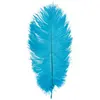 Image de Sachet de 5 Plumes d'Autruche 20-25cm, Turquoise FETE-0717-12