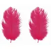 Image de Sachet de 2 Plumes d'Autruche 30-35cm, Fuchsia C-0718-05