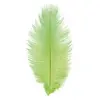 Image de Sachet de 1 Plume d'Autruche 55-60cm, Vert FETE-0719-11