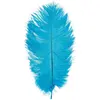 Image de Sachet de 1 Plume d'Autruche 55-60cm, Turquoise FETE-0719-12