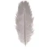 Image de Sachet de 1 Plume d'Autruche 55-60cm, Gris clair FETE-0719-21
