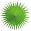 Image de Lot de 3 petits éventails alvéolés luxe 17 cm, Vert FETE-PF3E11