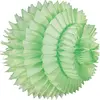 Image de Boule alvéolée luxe 25 cm, Vert pastel FETE-PFB34