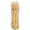 Image de BOTTE Epi de Blé naturel verticale 26cm C-80594