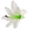 Image de Sachet de 6 Fleurs Tropicales artificielles 13cm, Blanc FETE-10356-00