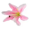 Image de Sachet de 6 Fleurs Tropicales artificielles 13cm, Rose FETE-10356-04