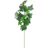 Image de Branche de Lierre 60cm, Vert FETE-10839