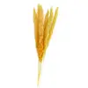 Image de Bouquet 6 tiges Herbe de Pampa 65-75cm, Jaune FETE-11528-19