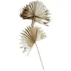 Image de Lot de 10 Feuilles de Palmier 55cm, Naturel FETE-11573