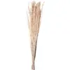 Image de Branchages Yanagi 110cm, Naturel blanchi FETE-11574