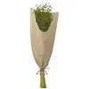 Image de Bouquet de Lin 60cm, Vert Clair FETE-11578-20
