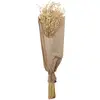 Image de Bouquet d'Avoine 70cm, Naturel C-11579
