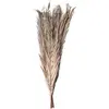 Image de Bouquet 9 Feuilles de Dattier 110cm, Naturel CH-11581