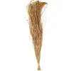 Image de Bouquet de raphia de bambou 110 cm FETE-11887