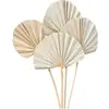 Image de Lot de 10 Feuilles de Palmier naturelles 50 cm Rondes ch-11892