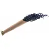 Image de Bouquet d'avoine séché 65cm bleu FETE-11906-41