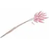 Image de Bouquet 25 tiges de Lagurus Rose pastel 50-60 cm FETE-11950-04