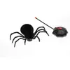 Image de Araignée Télécommandée 20 x 12 x 6 cm 12085