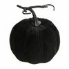 Image de Citrouille en velours 17cm, Noir FETE-12270-10