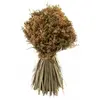 Image de Bouquet de table Automnal 30cm, Naturel FETE-12342