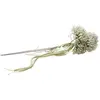 Image de Bouquet de 3 Scabieuses avec rubans, Vert Sauge FETE-12611-120