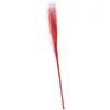 Image de Bouquet de 50 brins de Muehlenbeckia 85-90cm, Rouge FETE-12698-02
