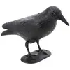Image de Grand Corbeau en plastique noir sur socle 31cm C-13097