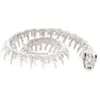 Image de Squelette de Serpent Ø 20cm C-13102