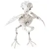 Image de Squelette de Corbeau 18,5cm FETE-13105