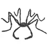 Image de Araignée Géante Velue : Noire RDLF-13108