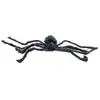 Image de Araignée géante velue noire 90cm FETE-13157
