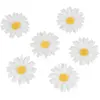 Image de Sachet de 6 Marguerites 4,5cm à disperser, Blanches C 13272