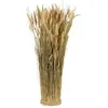 Image de Botte Ronde de Lagurus naturel 55cm FETE-13318