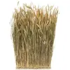 Image de Botte Rectangulaire de Lagurus naturel 34x60cm FETE-13331