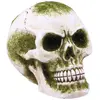 Image de Crâne résine avec mousse verte 15,5cm FETE-13720