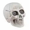 Image de Petit Crane squelette en plastique 13cm FETE-13787