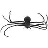 Image de Araignée noire longues pattes 40cm FETE-13802