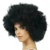 Image de Perruque cheveux Afro, Noir FETE-C4715-NO