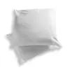 Image de Lot de 2 oreillers hygiène parfaite 60x60cm