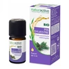 Image de Naturactive pin sylvestre huile essentielle bio 5ml