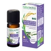 Image de Naturactive eucalyptus globuleux huile essentielle bio 10ml