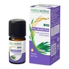 Image de Naturactive palmarosa huile essentielle bio 5ml