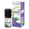 Image de Naturactive genévrier huile essentielle bio 5ml