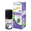 Image de Naturactive sariette des montagnes huile essentielle bio 5ml