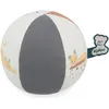 Image de Mon ballon Chaton