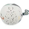 Image de Mon ballon Chiot
