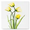 Image de Mini peinture au numéro : Jolies Fleurs Jaunes  - toile tendue sur chassis FiguredArt-SFA071-Y