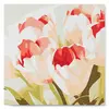 Image de Mini peinture au numéro : Eclosion de Tulipes  - toile tendue sur chassis FiguredArt-SFA061-Y