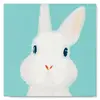 Image de Mini peinture au numéro : Lapin blanc  - toile tendue sur chassis FiguredArt-SFA057-Y